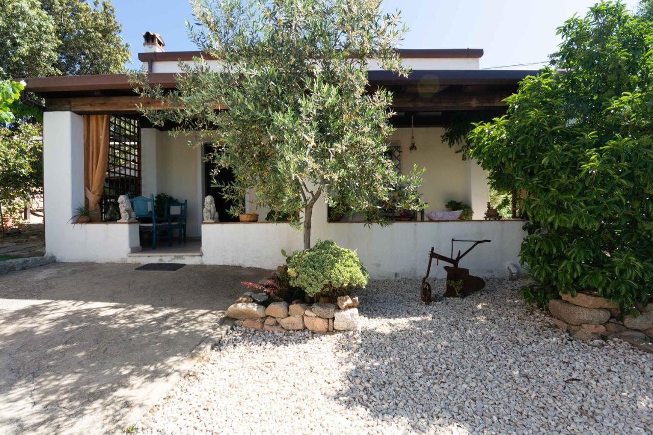 Villa Ferulas Oliena Exterior photo